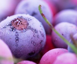 Sięgaj po nie zimą, a podziękujesz sobie później. Lepsze z supermarketu czy mrożone?