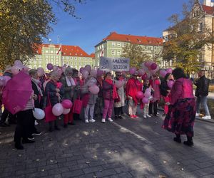 Marsz Różowej Wstążki w Szczecinie 2024