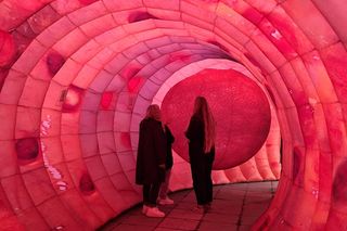 Jelito 3D stanęło przy szpitalu w Sosnowcu