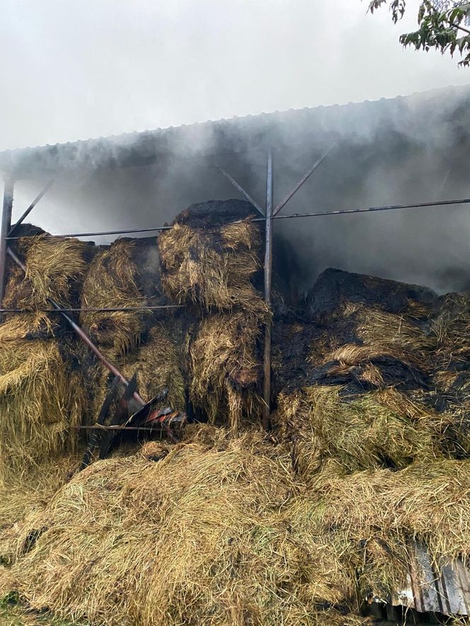 Duży pożar na terenie gospodarstwa w Zaborówcu koło Leszna
