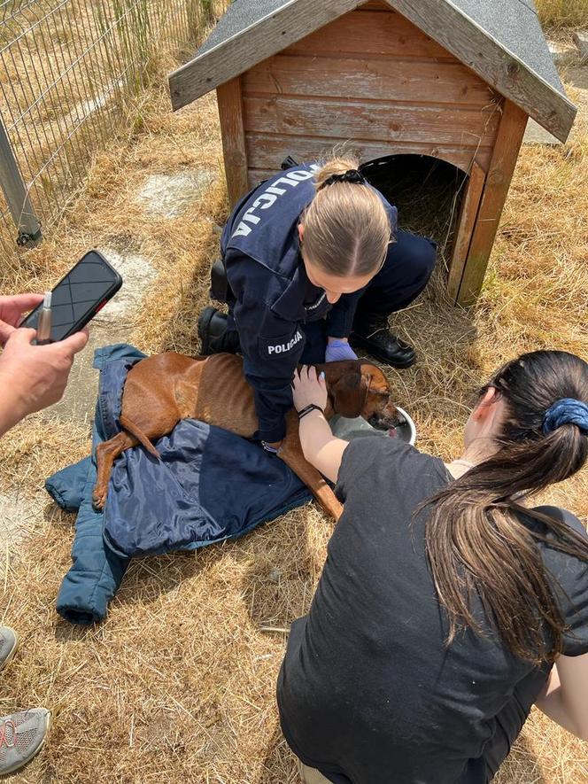 Policjanci z Goleniowa uratowali porzuconego psa