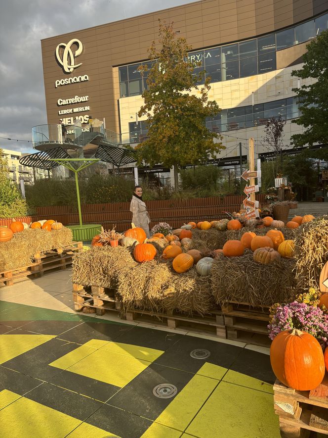 Zobacz, jak poznańskie świętują Halloween