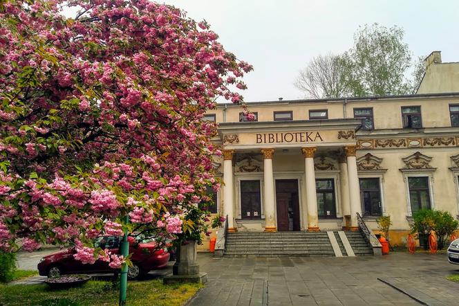 Miejska Biblioteka szykuje się do otwarcia na nowych zasadach