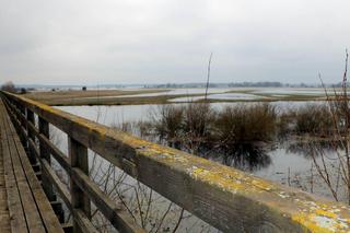 Przebudują most nad Narwią w Bronowie. To tutaj kręcono Konopielkę i Wołyń