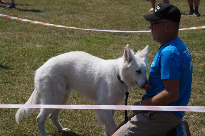 Psia radość i ludzkie serca. Myślęcinek pełen dobrych ludzi i ich czworonogów