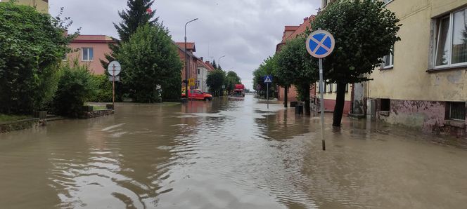 Tolkmicko i Suchaczew zalane [ZDJĘCIA]