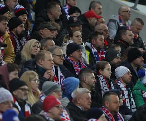 ZDJĘCIA kibiców na meczu Górnik Zabrze-Lech Poznań