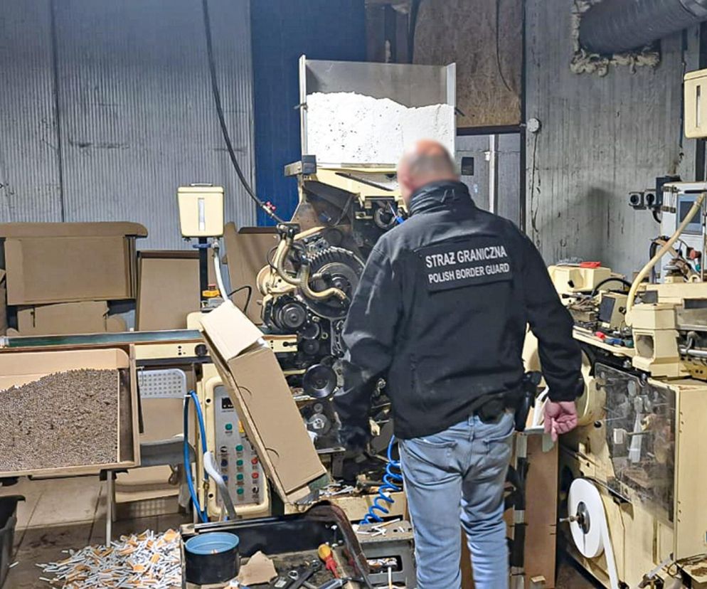 Nielegalna fabryka papierosów zlikwidowana! Milion papierosów w kartonach po pizzy