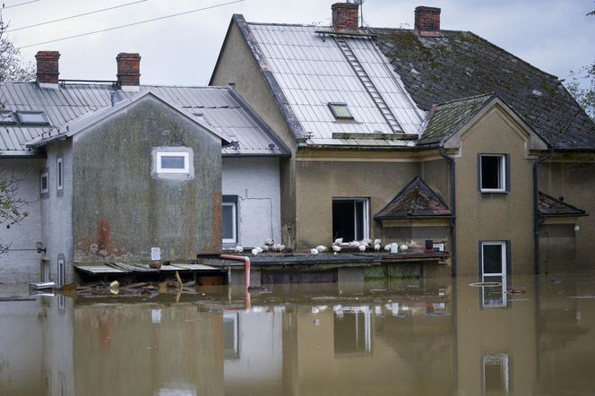 Ścieki z Ostrawy płyną Odrą prosto do Polski! Dramatyczna sytuacja może trwać miesiącami