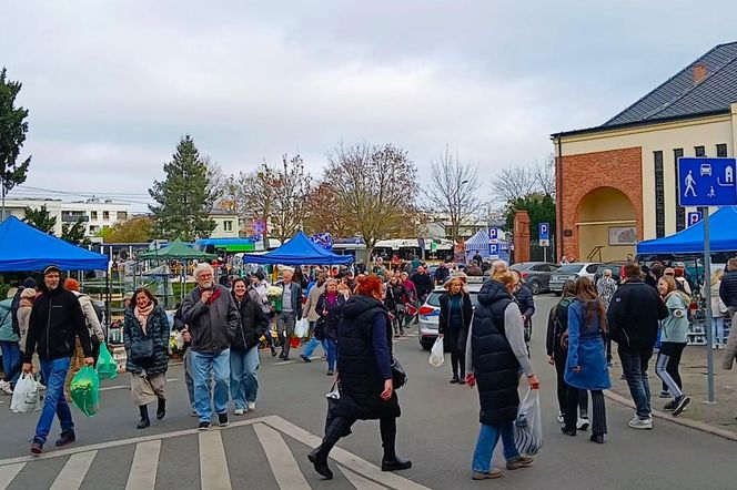 1 listopada na Cmentarzu Centralnym w Szczecinie