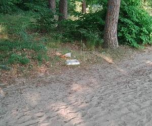 Tak wygląda dzika plaża w Smukale