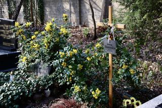 Tak wygląda grób prof. Staniszkis rok po jej śmierci 