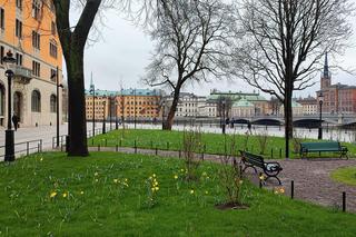 Sztokholm Arlanda, Szwecja