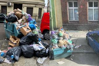 Raj dla szczurów w centrum Wrocławia. Z ulicy zrobili wysypisko śmieci