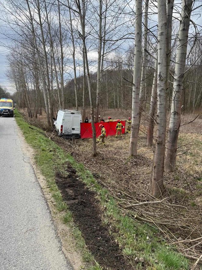 Czermna. Dostawcze IVECO roztrzaskało się na drzewie. Nie żyje kierowca