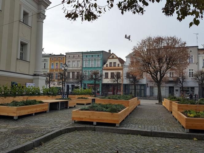 Na Rynku w Lesznie stanęły ogromne donice