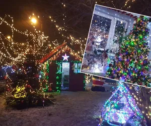 Dom w Bydgoszczy mieni się tysiącami światełek. Tutaj czuć magię świąt [WIDEO, ZDJĘCIA]