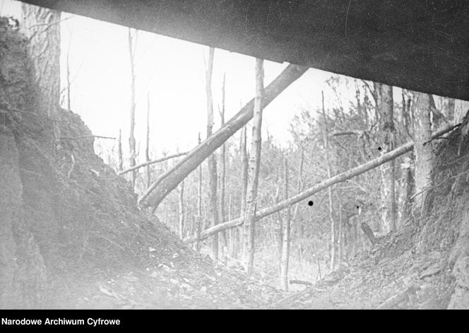 Zdjęcia z Westerplatte Wojskowej Agencji Fotograficznej z lat 1947 - 1950