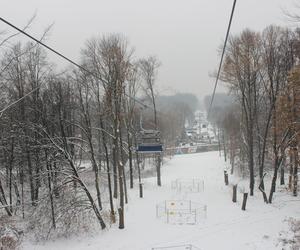 Elka w Parku Śląskim. Widok z góry