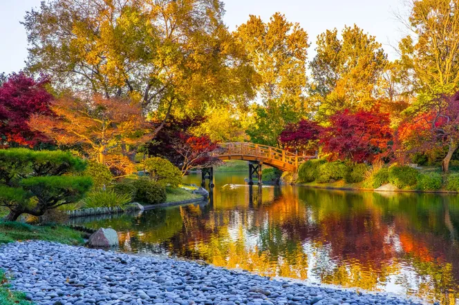 Przepiękne zdjęcia jesieni! Zobacz, jak wygląda złota polska jesień w ogrodzie