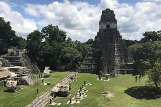 Szokujące odkrycie w piramidzie Majów. Zbezczeszczono zwłoki rodziny królewskiej