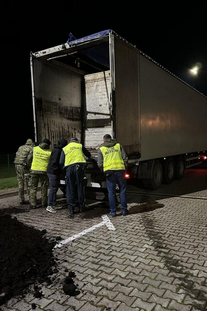 „Lewe” papierosy z Białorusi ukryte pod torfem. Miały trafić do powiatu braniewskiego [ZDJĘCIA]