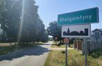 Wielgomłyny