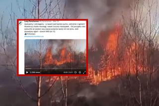 Duże zagrożenie pożarowe w Polsce. Czy zostanie wprowadzony ZAKAZ WSTĘPU DO LASÓW? 