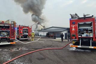Pożar hali magazynowej w Gostyni ZDJĘCIA