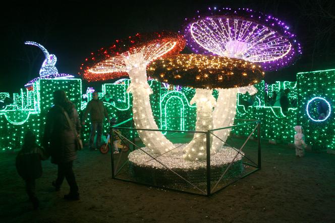 Laserowy show w Wilanowie