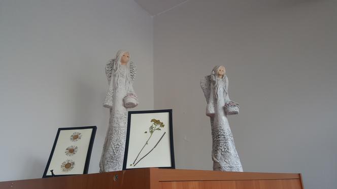 Charity Shop, czyli sklep charytatywny w Sosnowcu