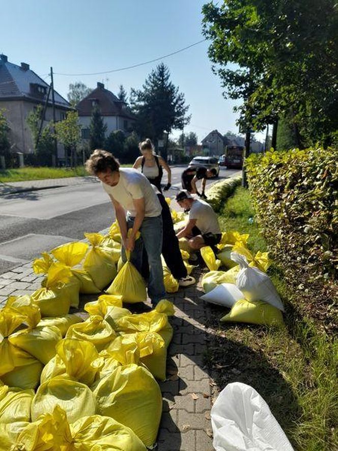 Wrocław walczy z wielką wodą. Rzeka wylewa na Stabłowicach, mieszkańcy układają worki z piaskiem 