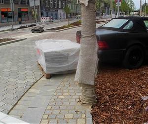 Mistrz parkowania w centrum Szczecina. Spotkała go niecodzienna kara