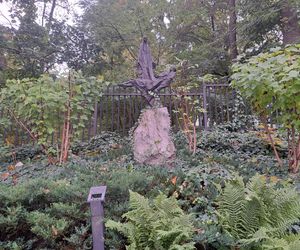 Ogród za kościołem św. Józefa w Krakowie