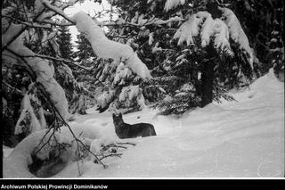 Tak wyglądała zima w Korbielowie 60 lat temu