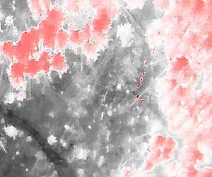 Dramatyczna akcja w Tatrach! Szukali go całą noc, a on? Prawda zaskakuje!