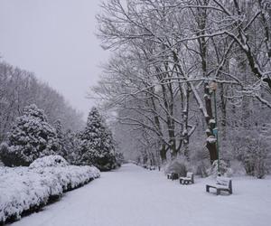 Pogoda na ferie zimowe na Podlasiu. Czy w Białymstoku i okolicach będzie śnieg?