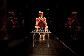 BODY WORLDS w Katowicach