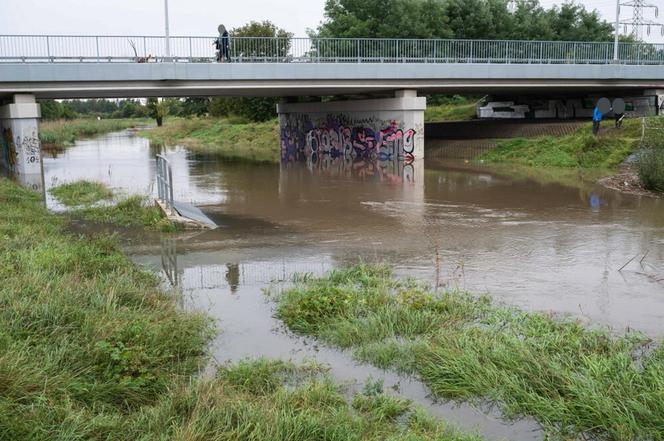 Fala powodziowa zbliża się do Wrocławia. Mieszkańcy szykują się do walki z żywiołem