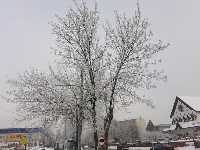 Starachowice w zimowej szacie