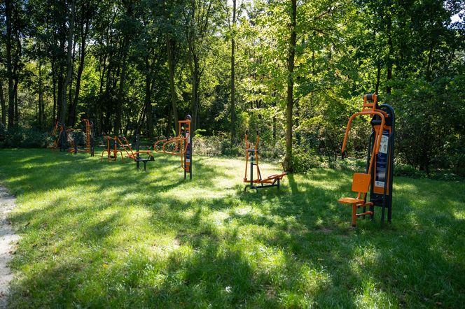 Zabytkowy park pod Lubawą zmienił się nie do poznania. Teraz wygląda jak z bajki