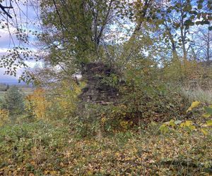 Zamek w Dąbrówce Starzeńskiej