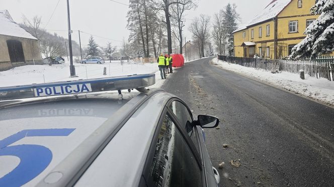 Koszmar na drodze koło Jawora. Kierowca dostawczaka z impetem uderzył w drzewo 