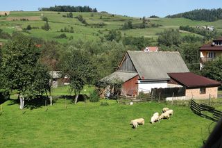 Ta małopolska wieś zachwyca pięknymi zabytkami. Kiedyś należała do zakonu