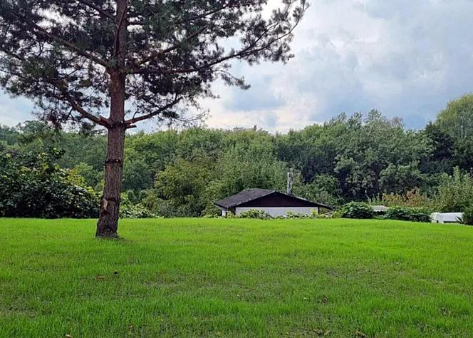 Działka ROD 370m2 Zabrze ul. Kasprowicza 26 000 zł