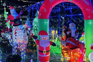 Sieradzkie Las Vegas zachwyca oczy! Takich świąt może im zazdrościć cała Polska [ZDJĘCIA]