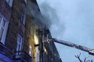 Pożar na Pradze! Ratownicy podawali kotu tlen