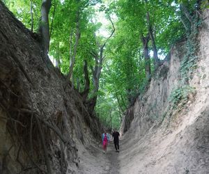 Sandomierz. Wąwóz Św. Królowej Jadwigi
