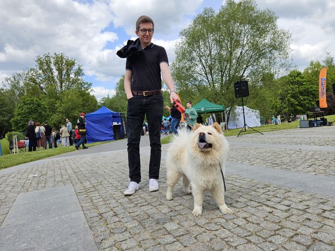 Festiwal Przyjaciół Zwierząt w Olsztynie. Park Centralny opanowały radosne pieski