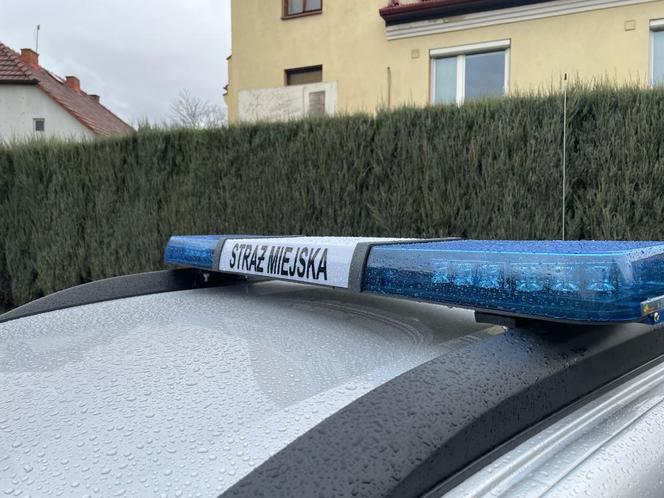 Straż Miejska ma nowy radiowóz. To pierwszy taki pojazd w jednostce [ZDJĘCIA]